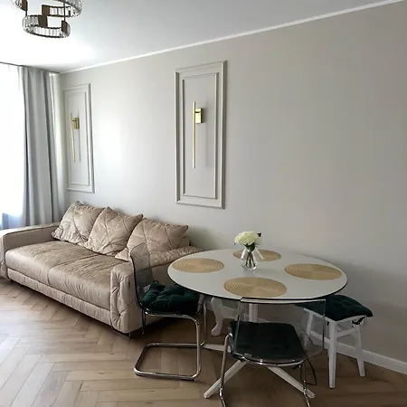 Deluxe Danes Vingis 아파트 *