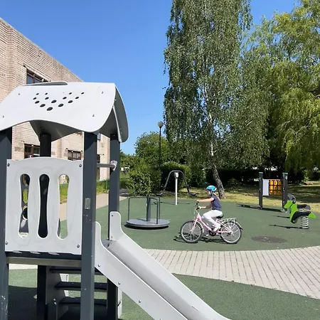 Deluxe Danes Vingis *